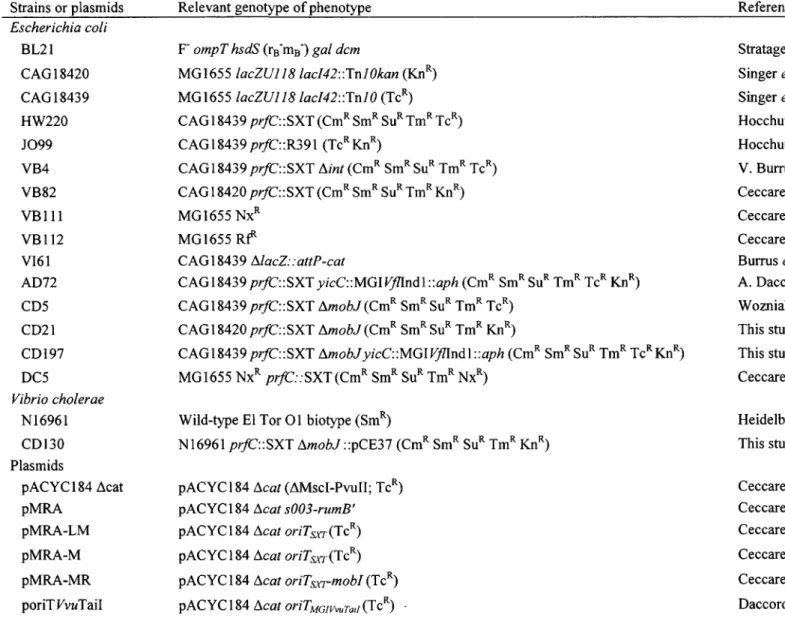 Table 1. Strains and plasmids used in this study 