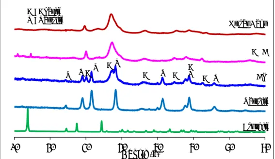 Figure II-13 : Diagrammes de diffraction des rayons X du ciment de référence (CR), de la  brushite  (B),  de  la  vatérite  (V),  d’une  apatite  nanocristalline  carbonatée  maturée 15 jours (ANC), et d’un os de rat (2 ans)