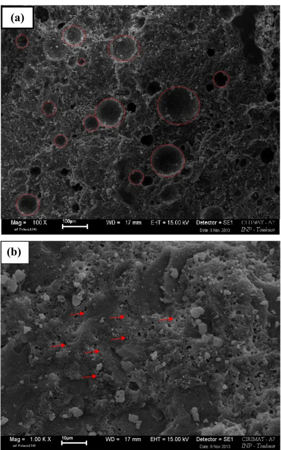 Figure  II-16 :  Micrographies  MEB  du  ciment  de  référence  après  la  prise :   à faible grossissement (a) et à grand grossissement (b)