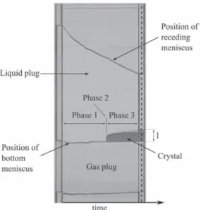 Fig. 8. Crystal growth velocity versus time; t ¼ 0 corresponds to the time when crystal becomes visible for the ﬁrst time in the images.