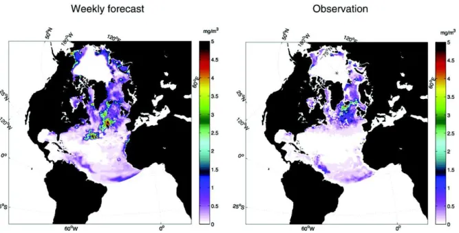 Fig. 10. Station M: monthly mean value and standard deviation of chlorophyll (left) and nitrate (right) concentrations from 2007 to 2009 in the depth interval 0–30 m