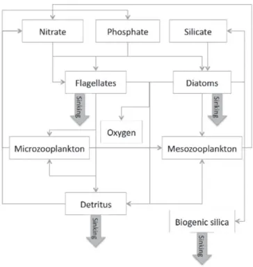 Fig. 2. The different components of NORWECOM and their interactions with each other.