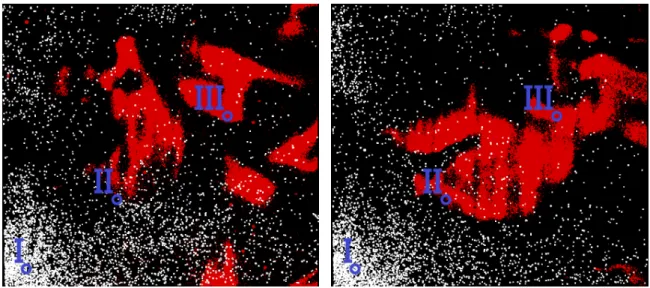 Figure 8 – Two typical images of simultaneous OH-PLIF and Mie scattering - Reacting two-phase flow The di fferent behaviours observed in this article seem supporting the existence of spray combustion regimes
