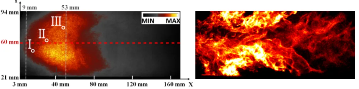 Figure 4 – Time average of OH* chemiluminescence images (left) - Typical instantaneous of OH* chemiluminescence visualization (right)