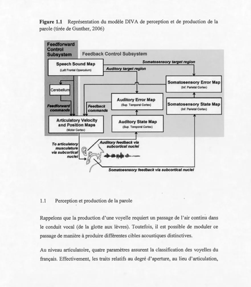 Figure 1.1  Représentation  du  modèle  DIV A  de  perception  et  de  production  de  la  parole (tirée  de  Gunther, 2006) 