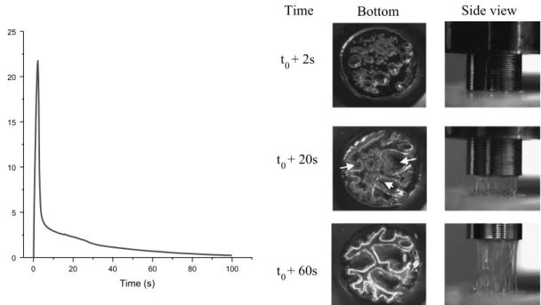 Fig. 9. Left: curve Force versus Time of the LTA M52 after 110 min. Right: Optical-video images of the behavior of chosen time, corresponding to the three part of the curve.