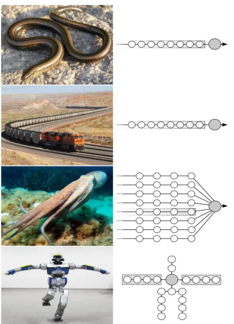 Figure 3.1: Examples of free linear linkages in mechanical systems. On the left are different mechanical systems, and on the right is the abstracted idealized linkage structure