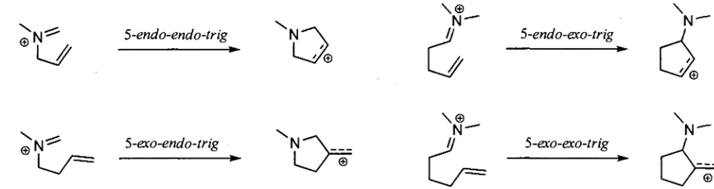Figure i.3 Description des modes de cyclisations proposee par Ben-Ishai. 