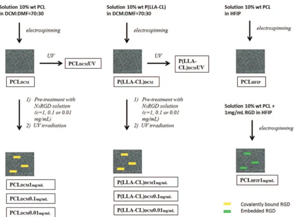 Figure 2. Production route of the different scaffolds and their denomination.