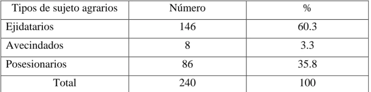 Tabla 11. Superficies del ejido de Oxcum inscritas en el PROCEDE, 1998  Tipos de superficie  Extensión en hectáreas  % 