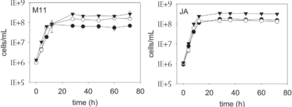Fig. 1 shows the kinetics of growth of the free yeasts. Final populations were found to range from 6.90Eþ07 cells/mL (AR5 M11) to 3.13Eþ08 cells/mL (GRO3 JA)