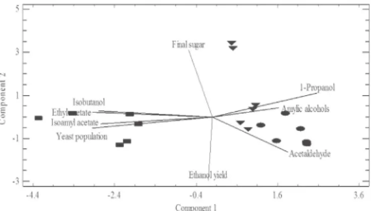 Fig. 4. Principal components plot of the volatile compounds produced and correlated with each yeast strain studied