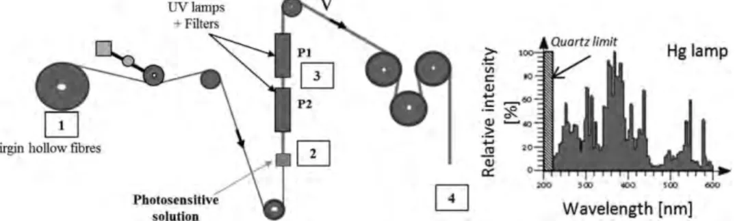 Figure 2. Chemical structures of the reactants.