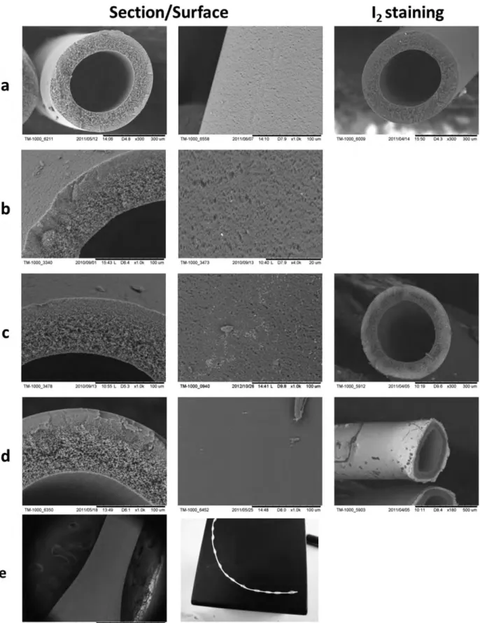 Figure 11. Scanning electron micrographs: (a) Pristine PES hollow fiber and (b–d) modified PES hollow fiber: b 5 exp 1, c 5 exp 2, d 5 exp 4–9, e 5 exp 3 (see Table II for the conditions of grafting).