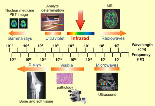 Figure 0.7 – The electromagnetic spectrum in medical imaging modalities, image from [13].