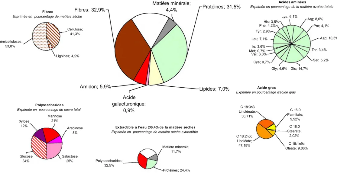 Figure V-2 : Composition chimique de la graine de Mélilot blanc et des fractions obtenues 