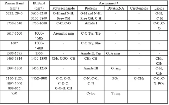 Table 3.1. Band assignments for Raman and IR spectra of typical bacterial biofilms 