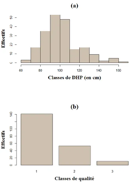 Figure 1.2 : Distribution des tiges cubées dans les différentes classes de DHP (a) et de  qualité (b)