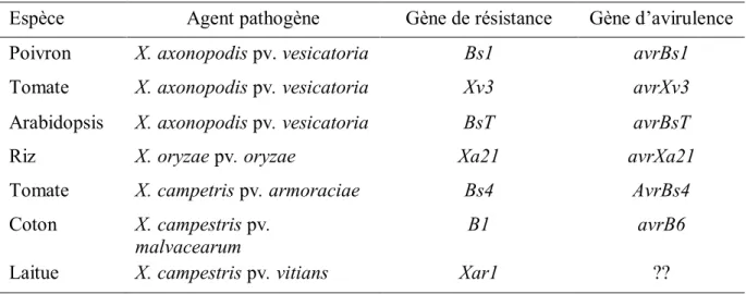 Tableau 1.2 : Quelques exemples de gènes de résistance et de gènes d’avirulence clonés   Espèce  Agent pathogène  Gène de résistance  Gène d’avirulence 