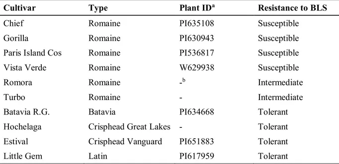 Table 3.1: Susceptibility of the ten lettuce cultivars used in this study when inoculated with  Xanthomonas campestris pv