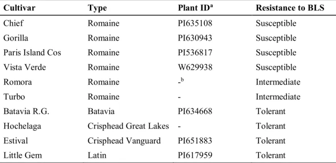 Table 3.1: Susceptibility of the ten lettuce cultivars used in this study when inoculated with  Xanthomonas campestris pv