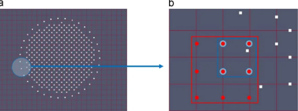 Fig. 2. DLM/FD points on the staggered grid for a 2D circular cylinder: (a) the set of interior and boundary points and (b) in blue the 4-point multi-linear interpolation stencil and in red the 9-point Q2 outwards-oriented quadratic interpolation stencil f