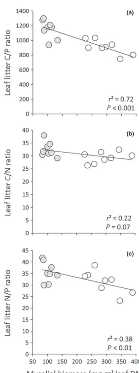 Fig. 5 Relative consumption rate (RCR) of Schizopelex festiva cad- cad-disfly larvae as a function of leaf litter (a) C/P, (b) C/N and (c) N/ P molar ratios