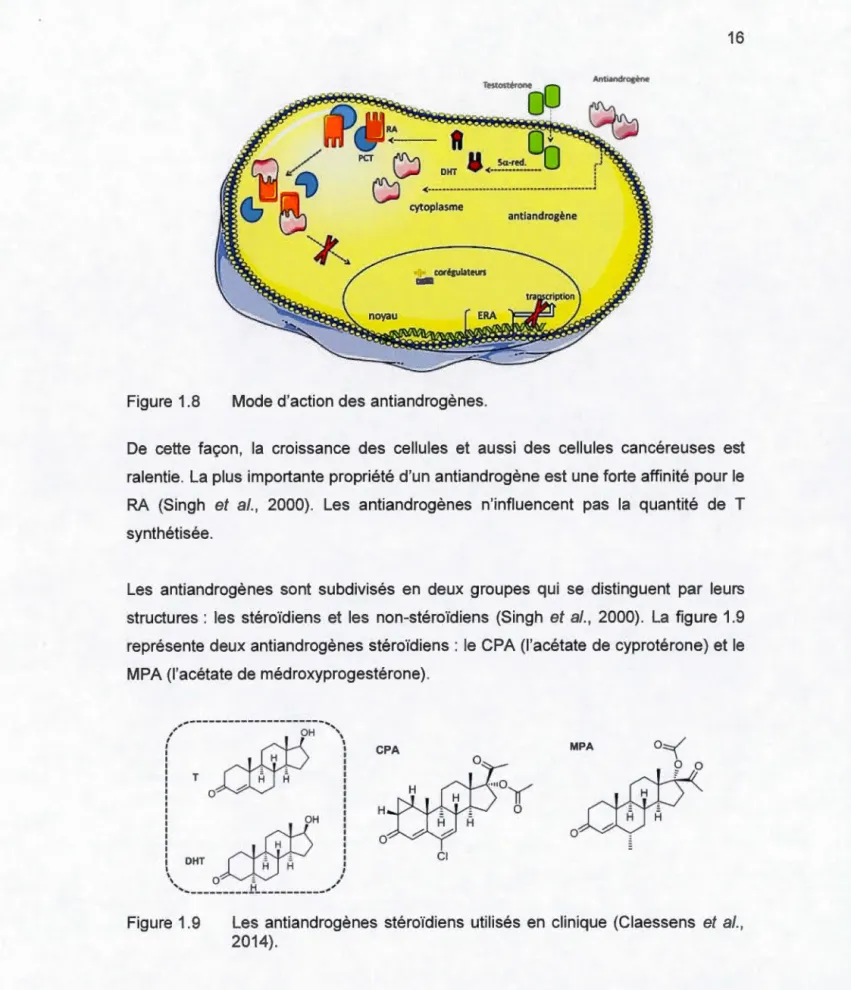 Figure  1.8  Anuandros  ne <(------• ru: PCT D Sa-red ~ j DHT '<(--------:.....