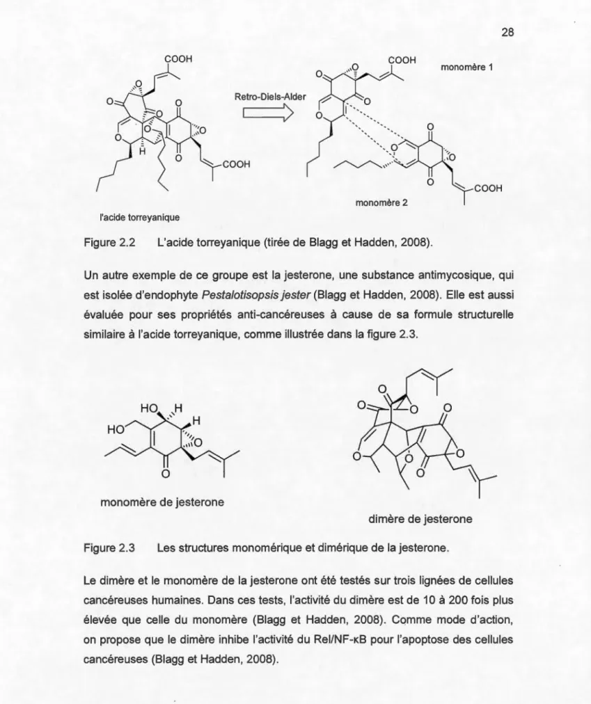 Figure 2.2  L'acide torreyanique (tirée de  Blagg  et Hadden , 2008). 