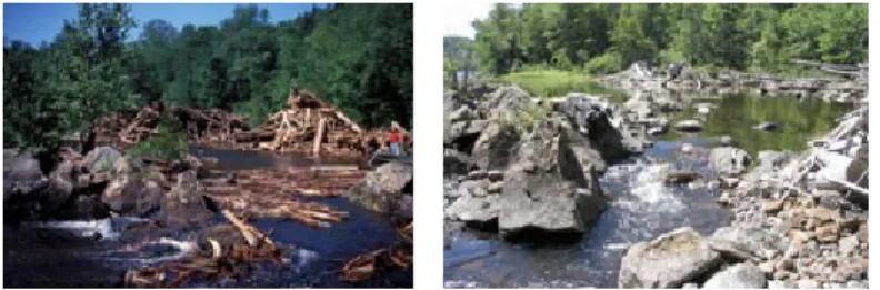 Figure 3.3 Photos du lac Isaïe du Parc national de la Mauricie avant et après la récupération des billots  de bois (tiré de : Parcs Canada, 2015) 
