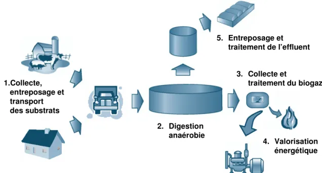 Figure 3.1   Schéma de principe du projet de méthanisation de lisier et de MRT (modifié  de EPA 2002)