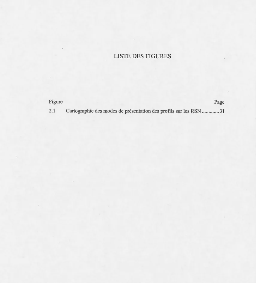 Figure  Page  2.1  Cartographie des modes de présentation des profils sur les RSN ... .........