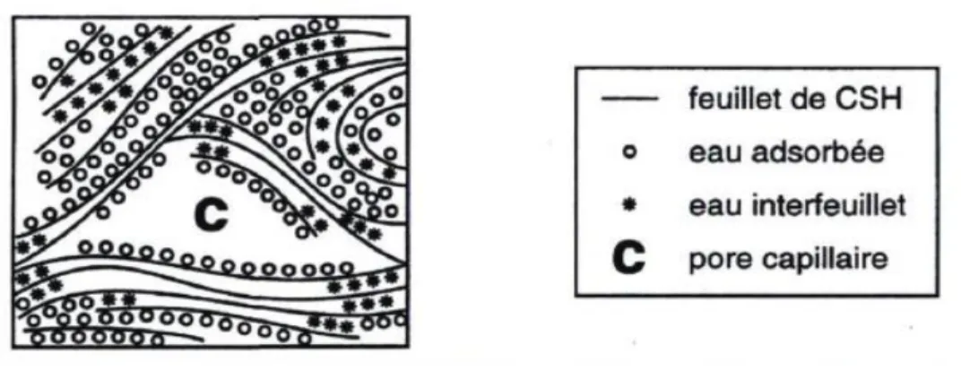 Figure 2 - Modèle simplifié de la structure de la pâte de ciment hydraté (Feldman and Sereda, 1968)