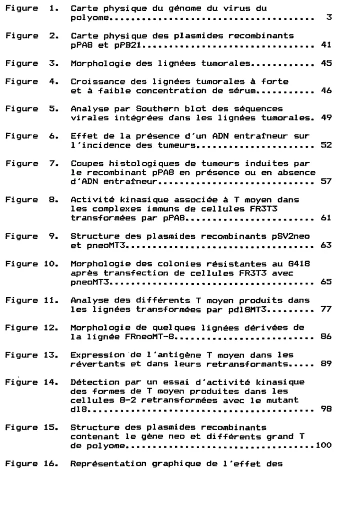 Figure  1.  Carte  physique  du  génome  du  virus  du 