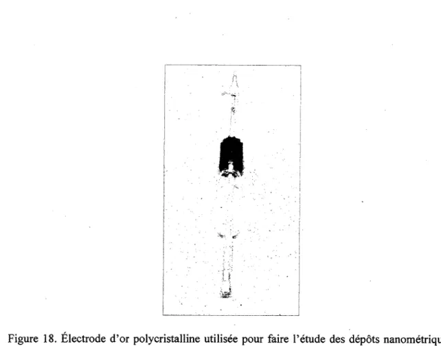 Figure 18. Electrode d'or polycristalline utilisee pour faire l'etude des depots nanometriques  de palladium; surface geometrique : 0,3 cm 2 