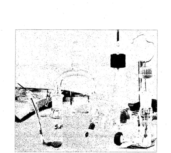 Figure 22. Cellule a trois electrodes et trois compartiments, avec une electrode de reference  Hg/HgO (a gauche), une electrode de travail (au centre) et une contre electrode (a droite)