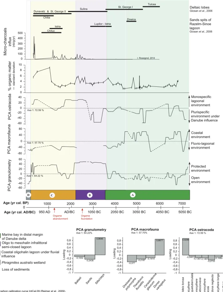 Fig. 7. Statistical analysis using Principal Components Analysis (PCA) on bio-sedimentological results from core O2.