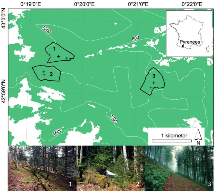 Fig. 1. Map showing the geographical location below which are pictures of the stands studied