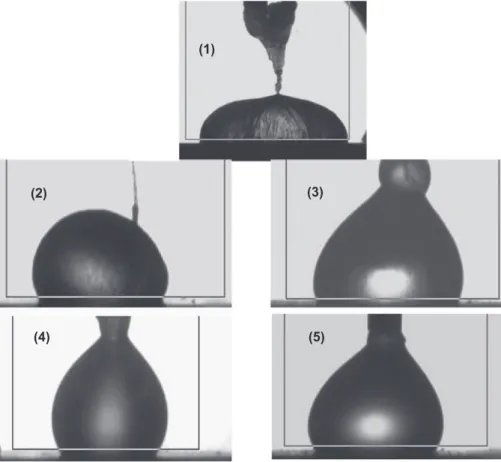 Fig. 3. Inﬂuence of guest gas composition on hydrate crust morphology (ΔT 370.5 1C): (1) pure CO 2 , (2) CO 2 /CH 4 , 75/25 mol%, (3) CO 2 /CH 4 , 50/50 mol%, (4) CO 2 /CH 4 , 25/ 75 mol%, and (5) pure CH 4 .