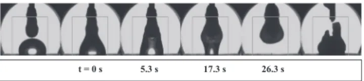Fig. 9. Snapshots of CH 4 -hydrate growth at 0 1C and 40 bar from a 100 ppmw AOT solution