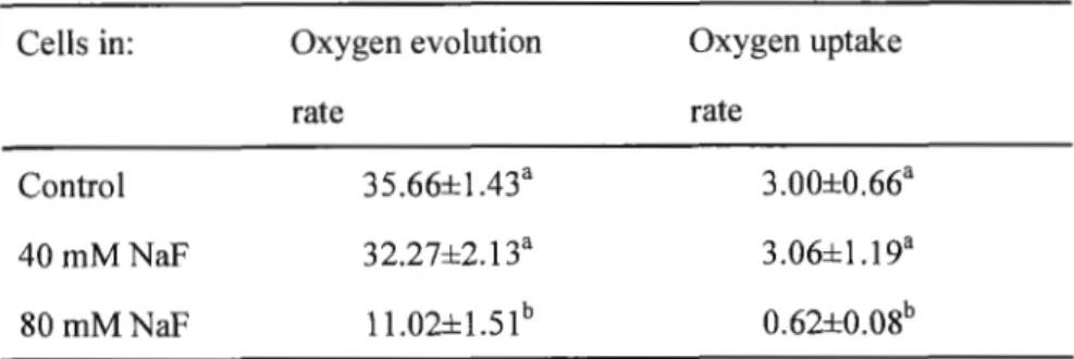 Table  1.1 .  Concentrations  of NaF  up  to  40  mM  did  not  affect  oxygen  evolution  and  respiration