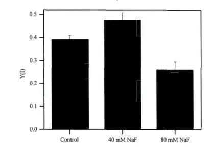 Figure  1.1.  The effects ofNaF on quantum yield  ofPSI  (Y(l))  in  FACBH898. 