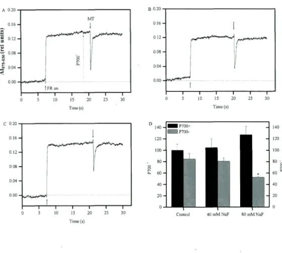 Figure  1.2.  The  effects  of NaF  (40  and  80  mM)  on  the  change  of PSI  redox  state  indu ced  by  far  red  light and  saturating  light  in  FACHB898