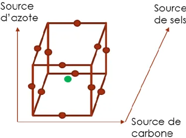 Figure 5: Plan Box-Behnken pour l'optimisation des concentrations 