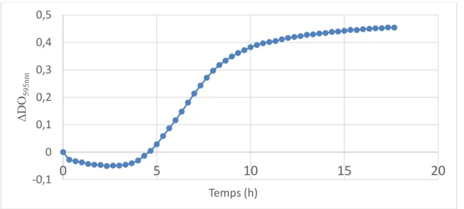 Figure 6: Courbe de croissance de M35 en microplaque dans le milieu MRS 
