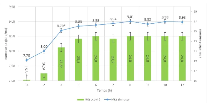 Figure 8: Culture statique de M35 dans MRS dans un volume de 200mL 