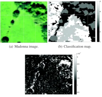 Fig. 1. (a) Real Madonna image, (b) the estimated classification map using UsGNCM and (c) noise variances.