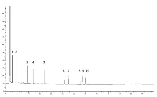 Figure II-5. Chromatogramme obtenu lors de l'analyse d’une solution de standards (composés identifiés dans le Tableau II-2) 