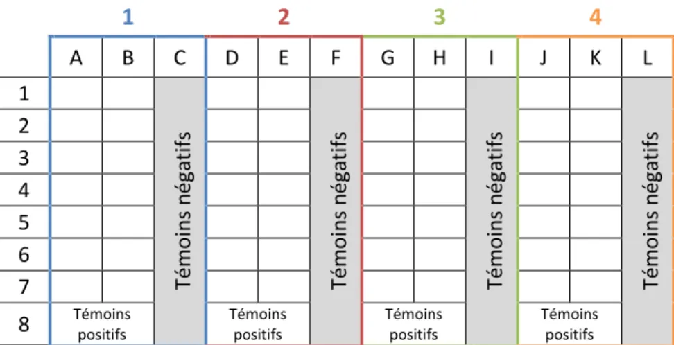 Figure II-6. Schéma de remplissage des microplaques servant à la détermination des CMIs