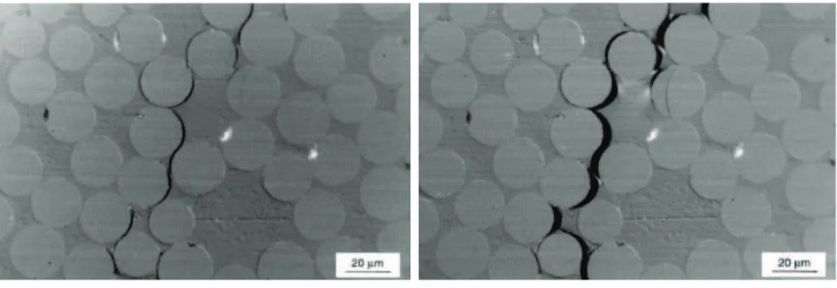 Figure 1.4 – Exemple de décohésion fibre-matrice d’un composite verre/époxyde vinyl- vinyl-ester [19]